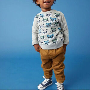 NWT Tea Raccoon Sweatshirt Size 3-6 Months